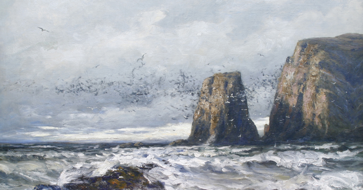 Een zeezicht met hoge rotsen en vogels die overvliegen.