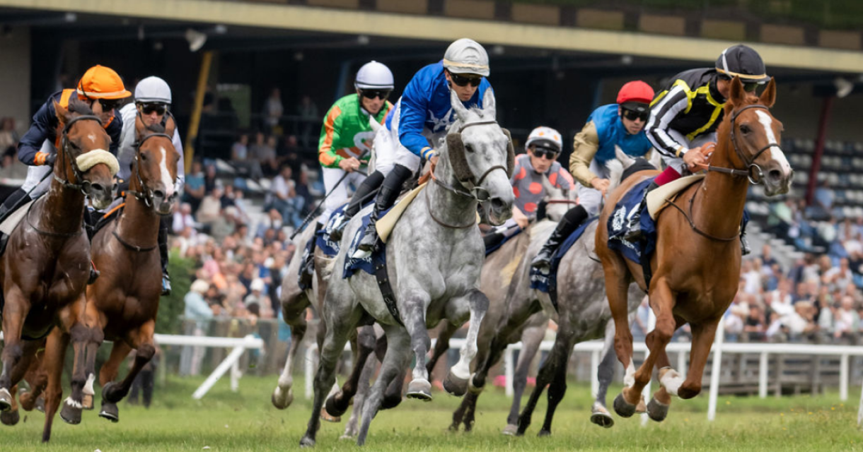 De Dag van het Paard & The UAE President Cup. Verschillende jockeys rijden op paarden tijdens een race.