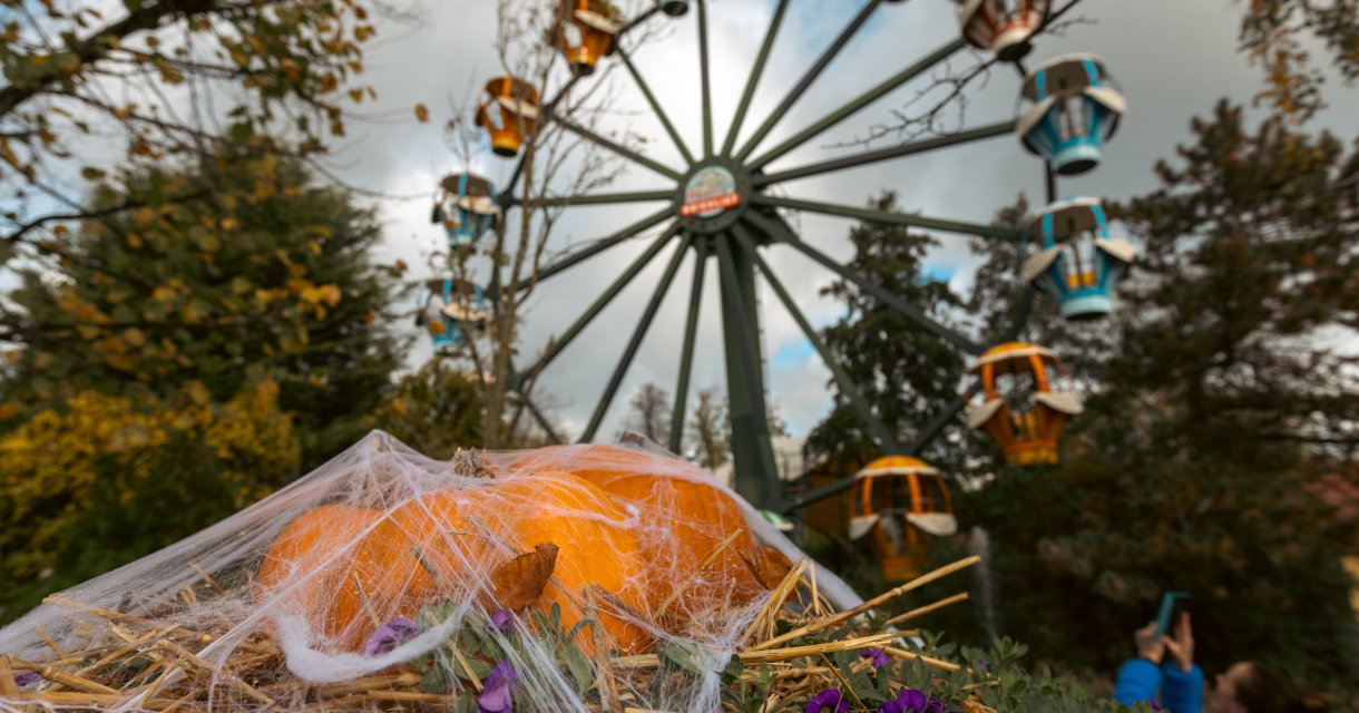 Een pompoen met spinnenwebben en bloemen, met een reuzenrad op de achtergrond.