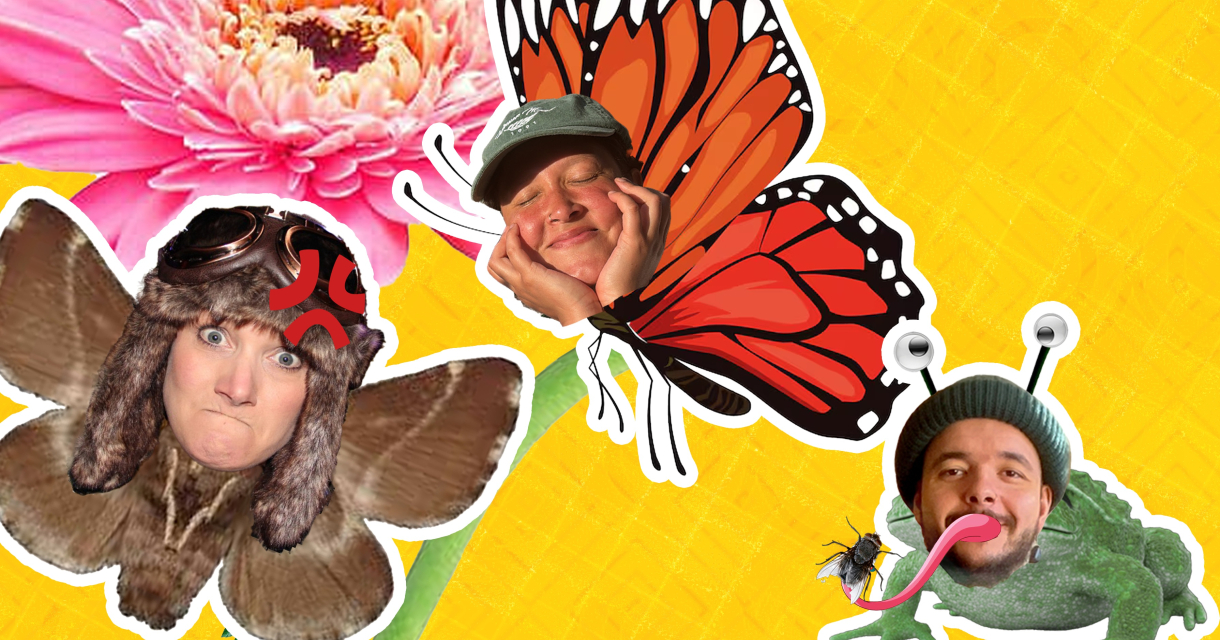 Fladder & Brom (4+) Collage van een mot, vlinder, bloemen en mensen met gekke gezichten.