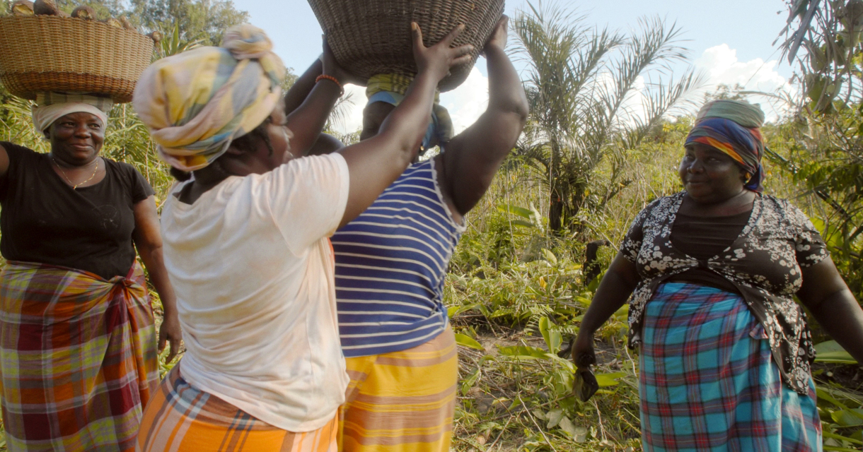 Vijf vrouwen dragen manden op hun hoofd in een groen veld.