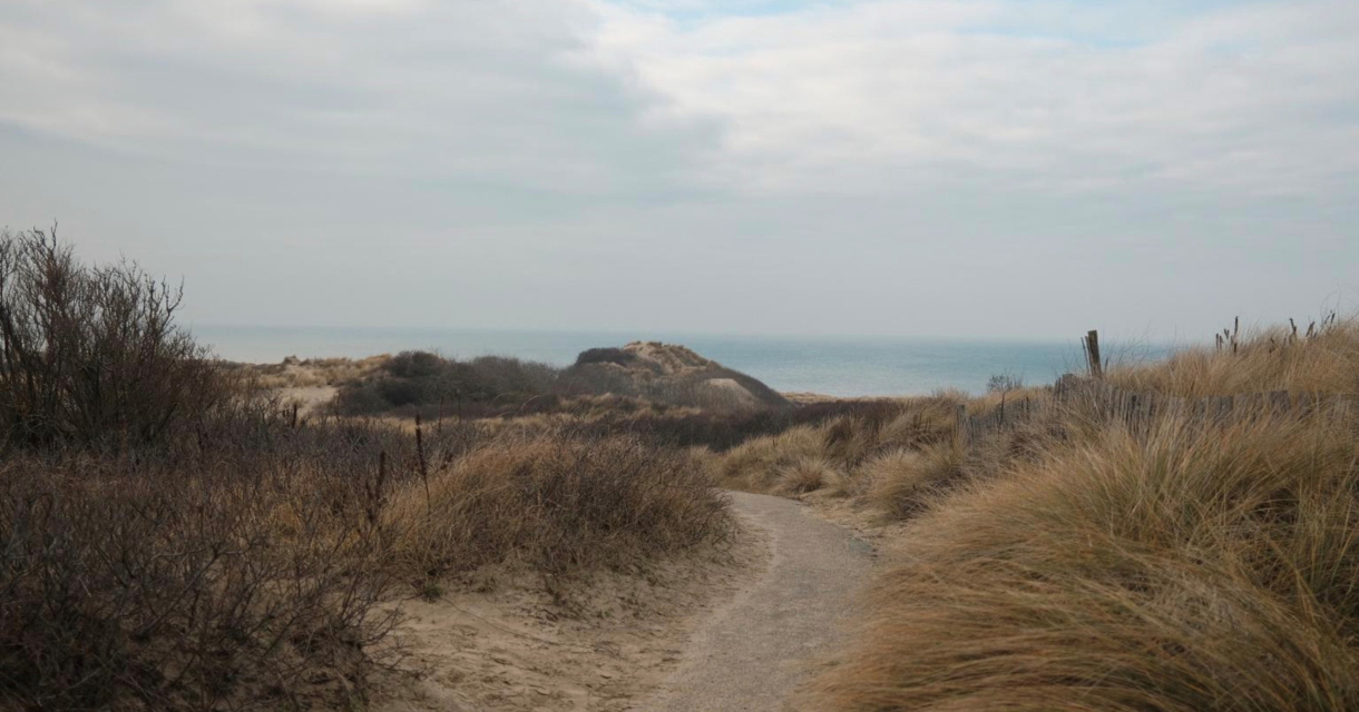 Een pad door duinen met uitzicht op de zee.