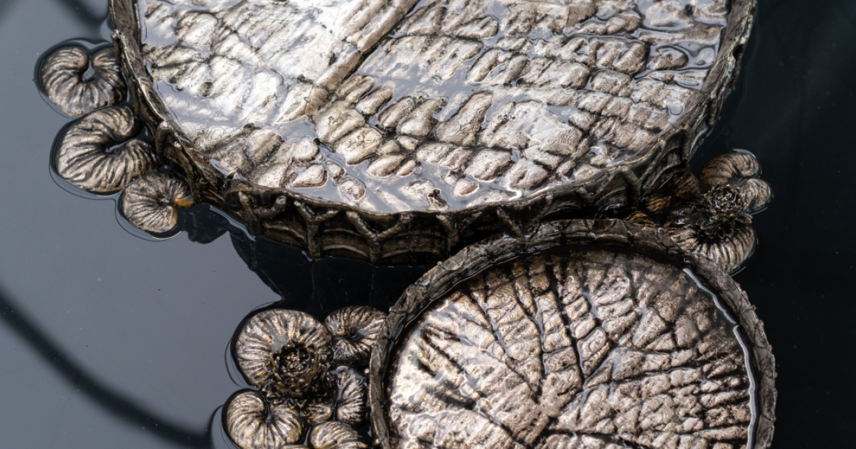 Twee decoratieve, metalen schijfjes op wateroppervlak