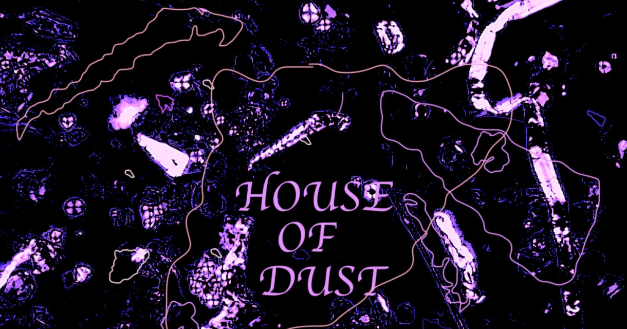 Abstracte afbeelding met de tekst 'HOUSE OF DUST' in paars.