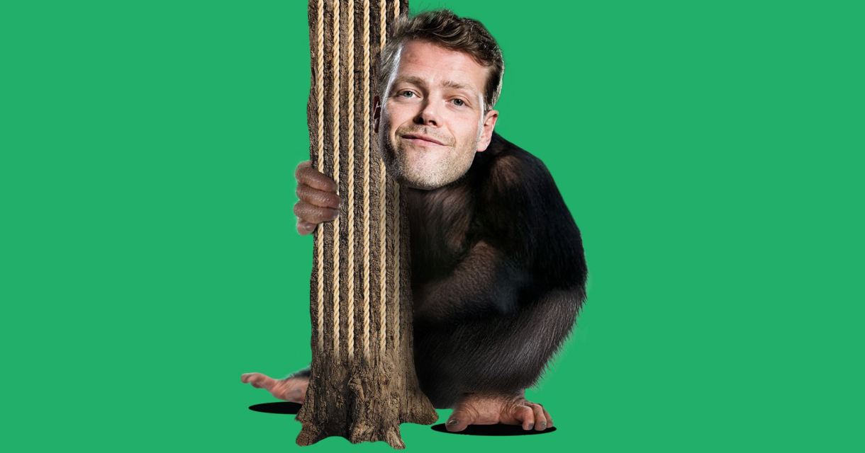 Gemonteerd beeld van een aap met het gezicht van een man, omarmt een stam tegen een groene achtergrond
