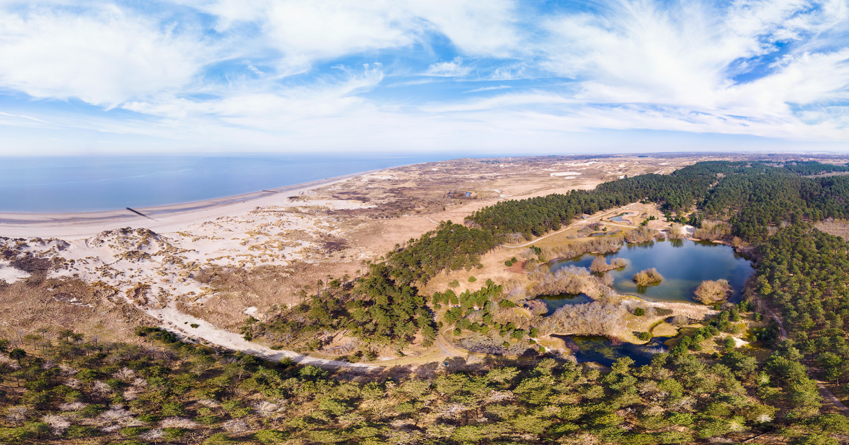 Panorama van duinen, zee en bossen bij de kust