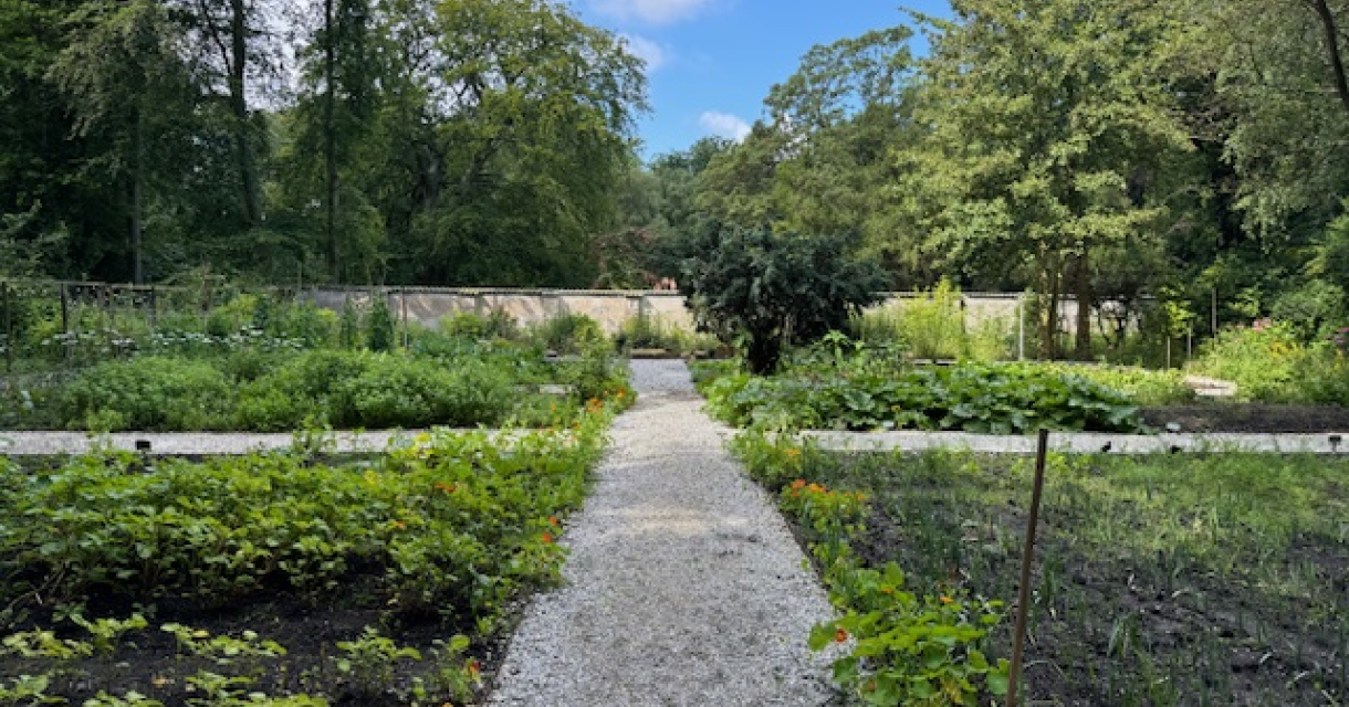 Een pad in een groene tuin met planten en bomen.