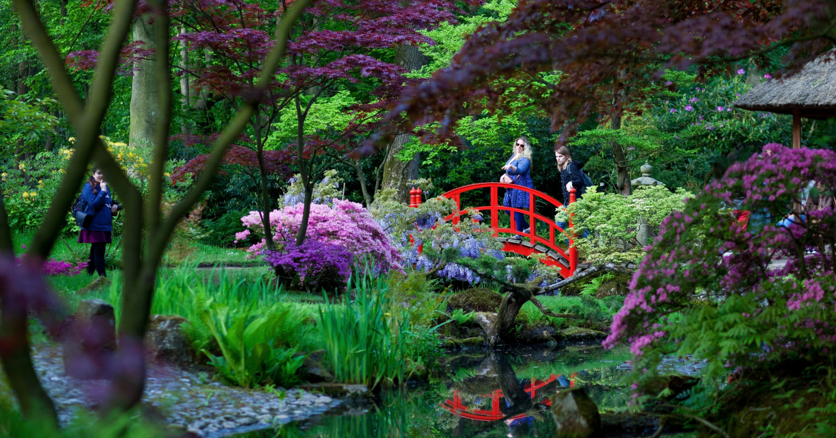Japanse Tuin