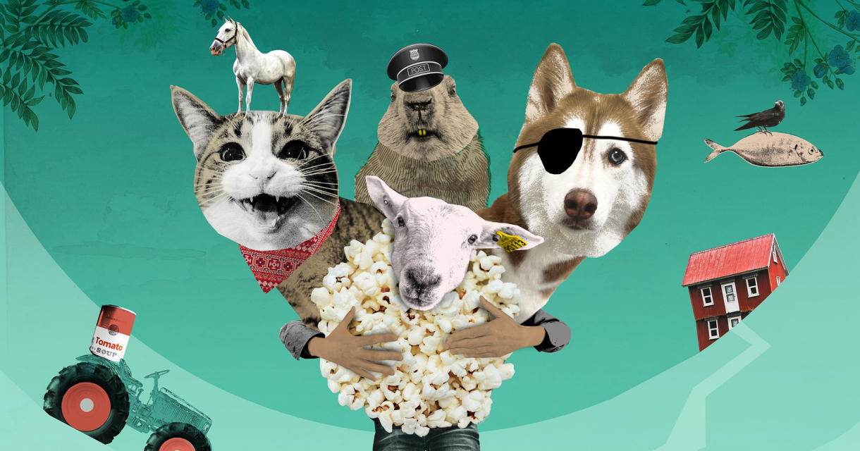 Collage van grappige dieren met popcorn en props