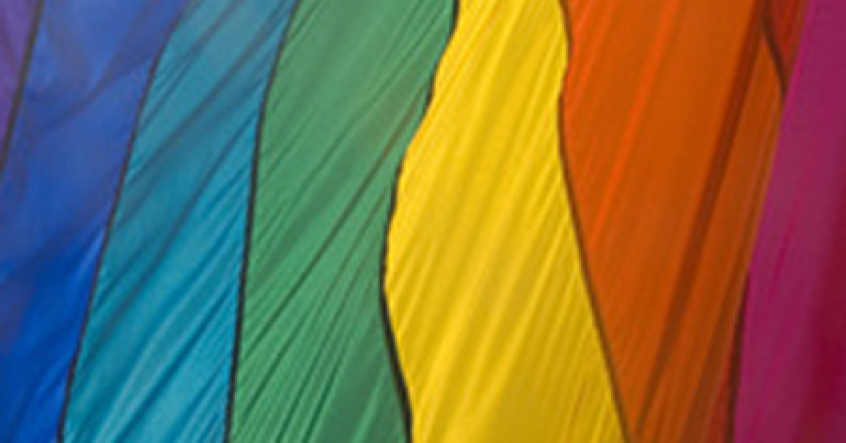 Regenboog vlag