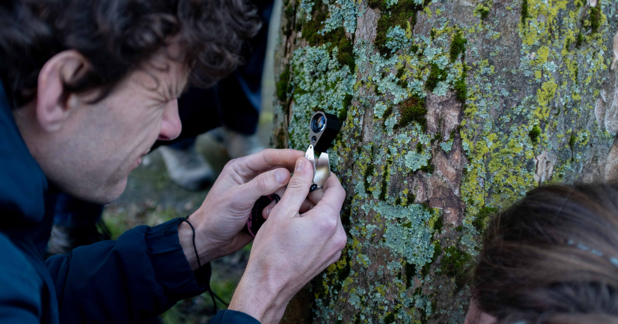Persoon plaatst meetapparatuur in boomstam tijdens natuuronderzoek. Persoon plaatst meetapparatuur in boomstam tijdens natuuronderzoek.