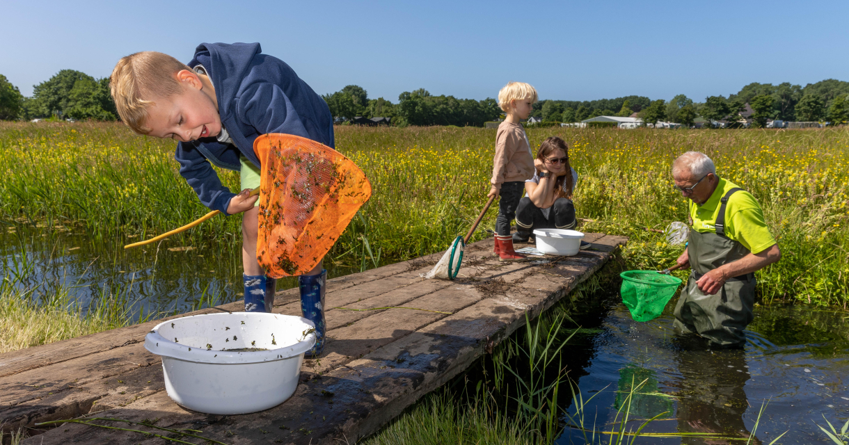 Kinderen vangen waterdiertjes met schepnet in sloot.