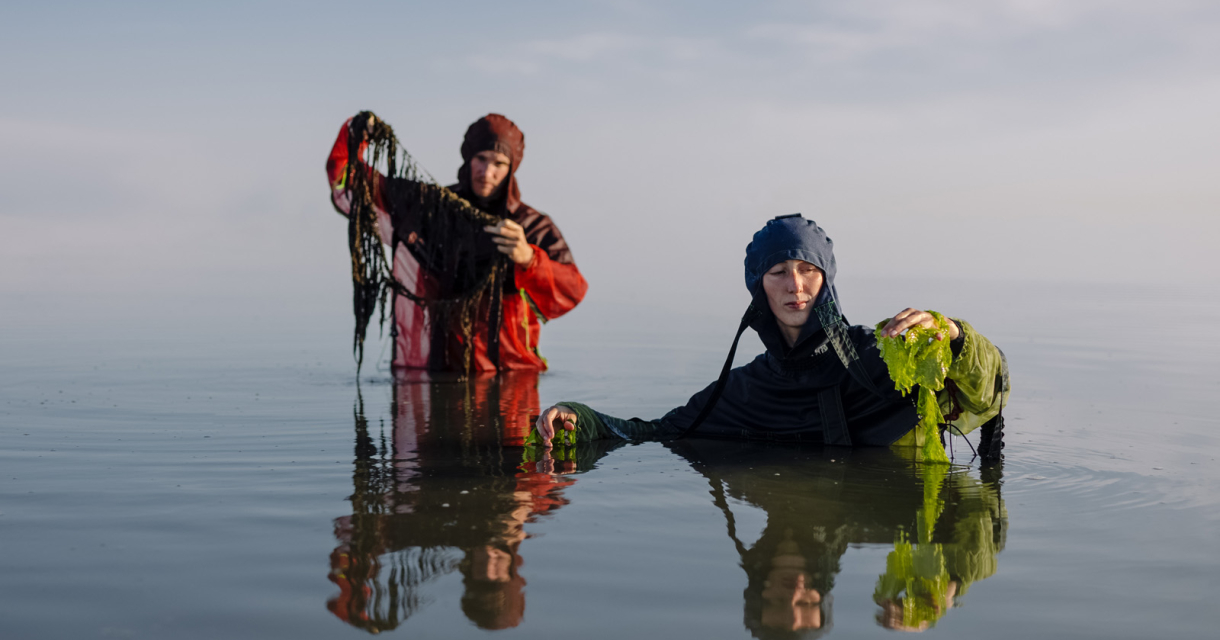 Twee personen staan tot hun middel in het water, gekleed in kleurrijke waterdichte kleding, en houden zeewier omhoog onder een heldere hemel. Twee personen staan tot hun middel in het water, gekleed in kleurrijke waterdichte kleding, en houden zeewier omhoog onder een heldere hemel.