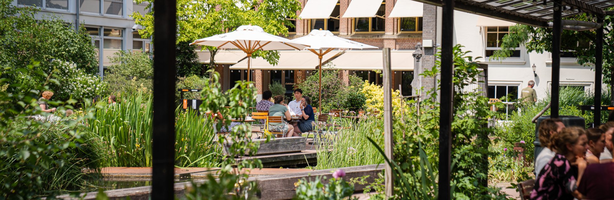 Het groene verborgen terras vol planten van café Soof in de tuin van het Nutshuis