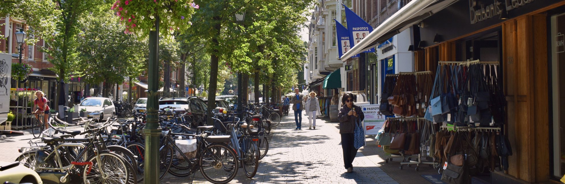 Frederik Hendriklaan Statenkwartier