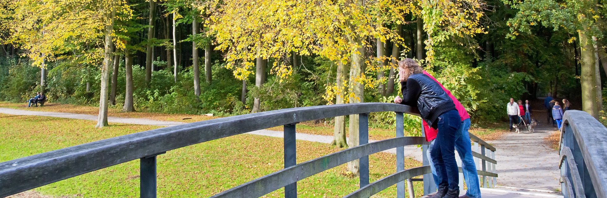 Haagse Bos