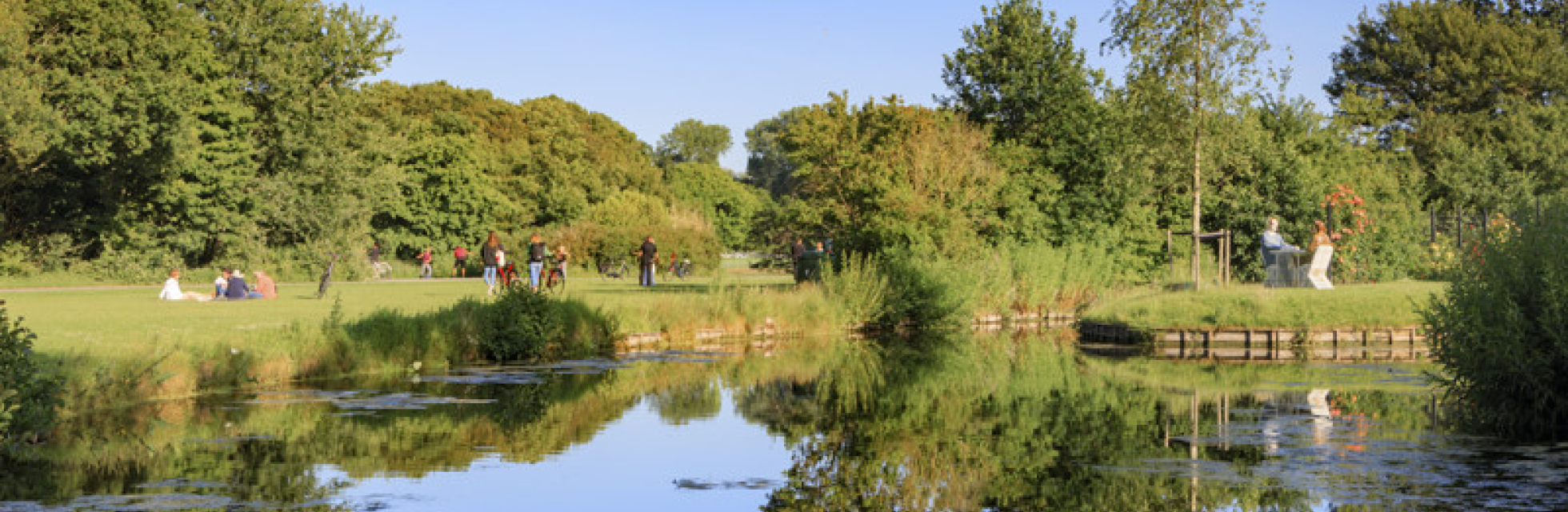 People enjoying a sunny day in a park with water reflection.