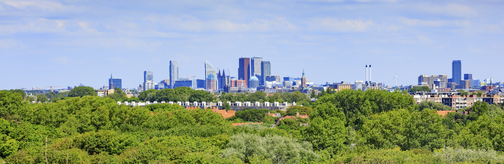 Den Haag vanaf de duinen