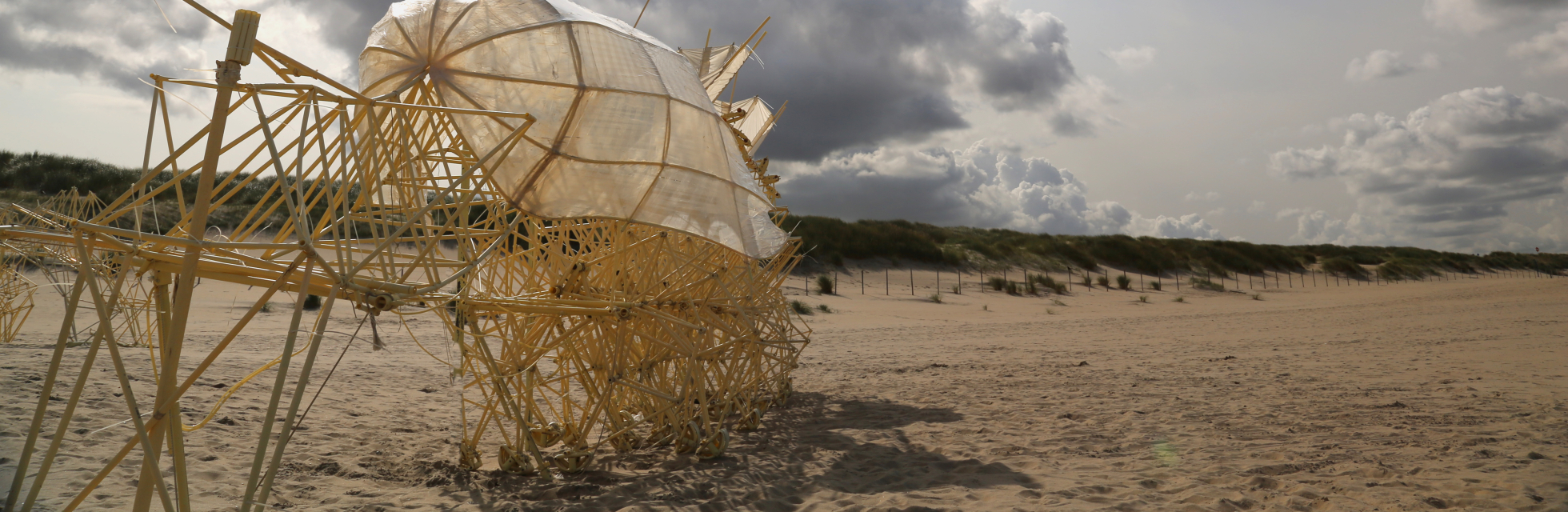 Strandbeest op het strand die zelfstandig in beweging komt door de wind