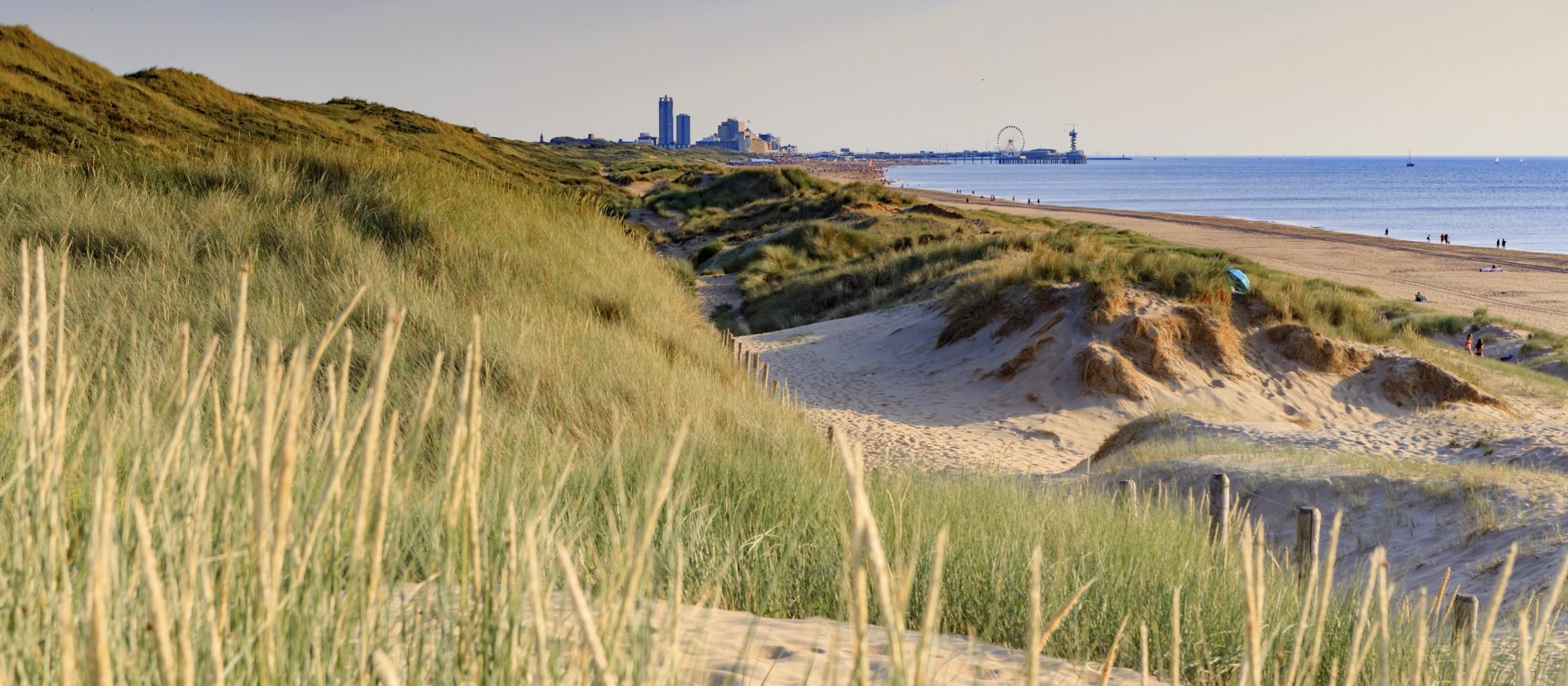 Duinen Den Haag, Dunes The Hague Duinen Den Haag, Dunes The Hague