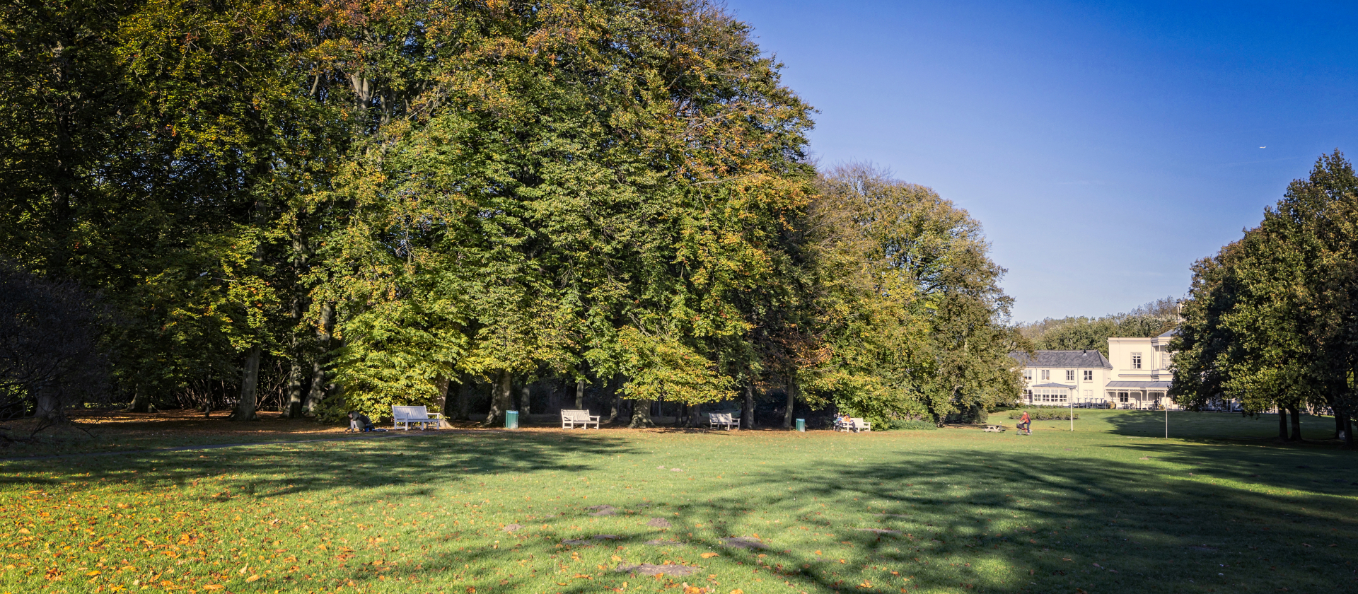 Het Ockenburgshe Bos tijdens de Herfst Het Ockenburgshe Bos tijdens de Herfst