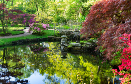 Japanse Tuin in Den Haag 