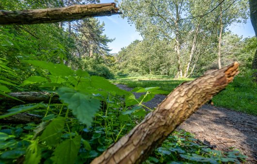 Van Stolkpark Belvedere