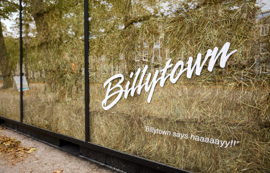 Wand met grasmat en tekst 'Billytown says haaaayyy!!'