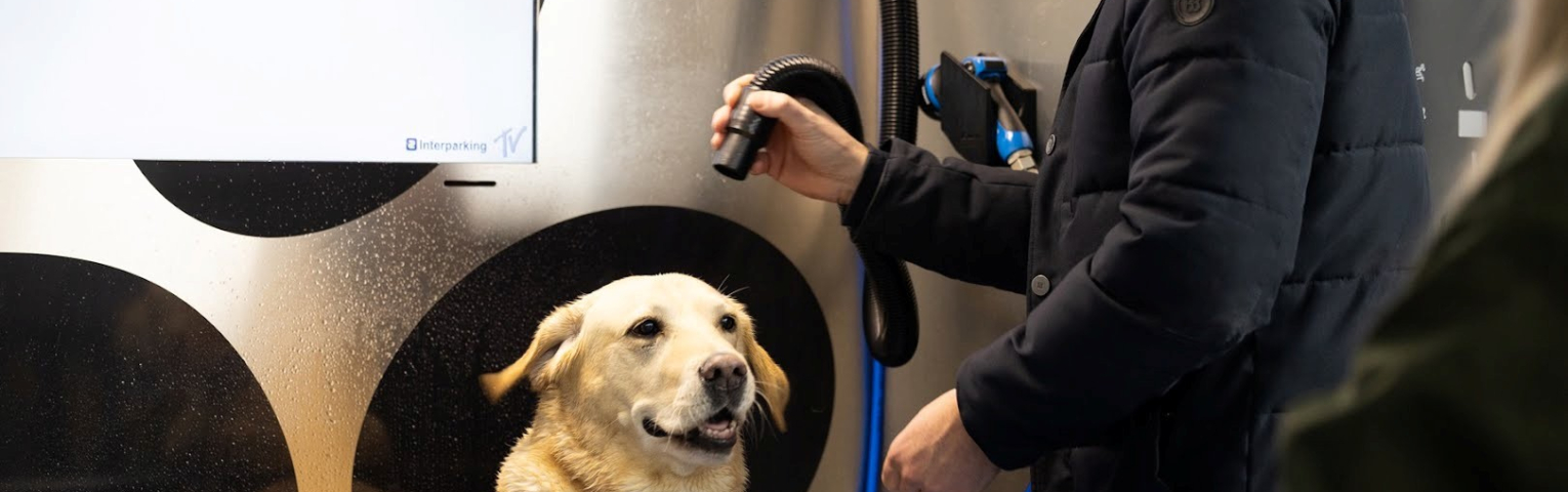 Een man wast een blondere hond in een speciale hondenwasstraat in parkeergarage op Scheveningen