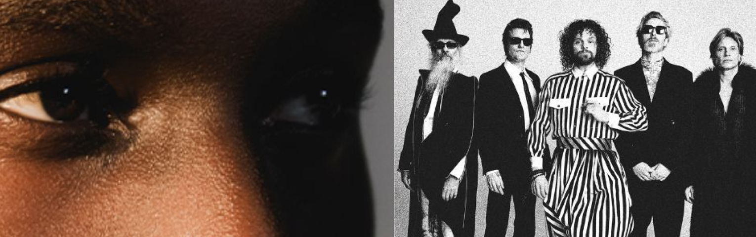 Collage Frenna en DI-Rect winnaars Edison popprijzen.