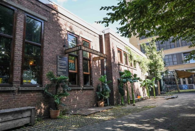 PIP Den Haag