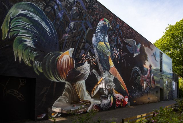 Mauritshuis mural kippen en eenden van Melchior door Street Art The Hague Mauritshuis mural kippen en eenden van Melchior door Street Art The Hague