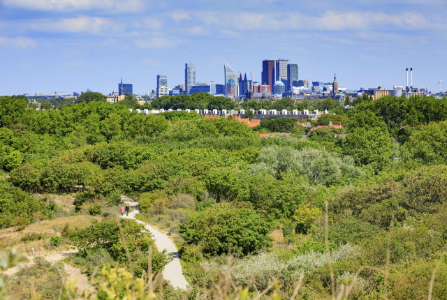 Hollandse duinen met zicht op de Skyline.