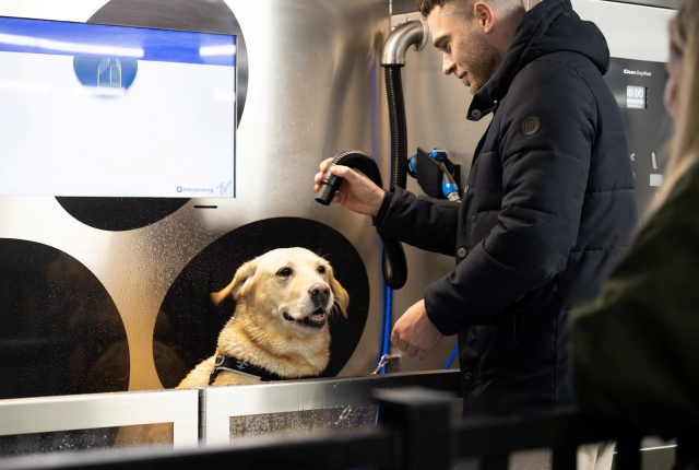 Een man wast een blondere hond in een speciale hondenwasstraat in parkeergarage op Scheveningen