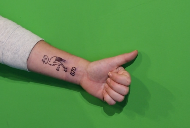 Uitgestrekte arm met duim omhoog met Ooievaar en 070 voor een groene achterwand.