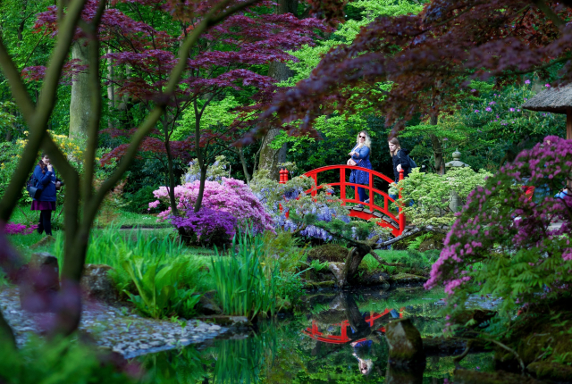 Japanse Tuin