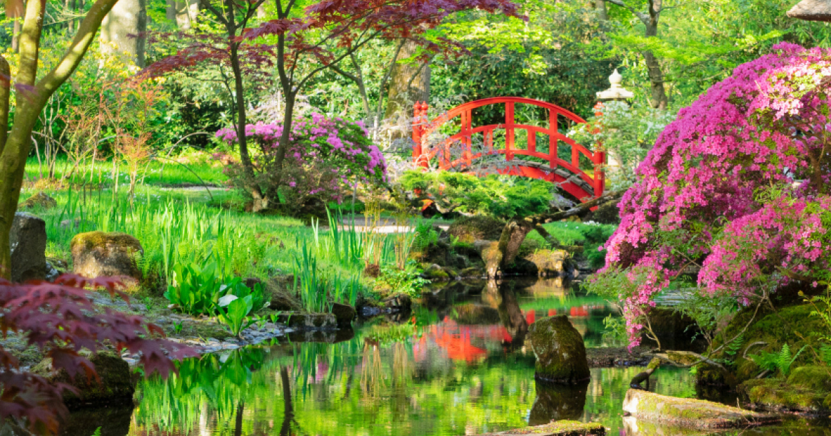 海牙日式花园 · 免费至6月7日