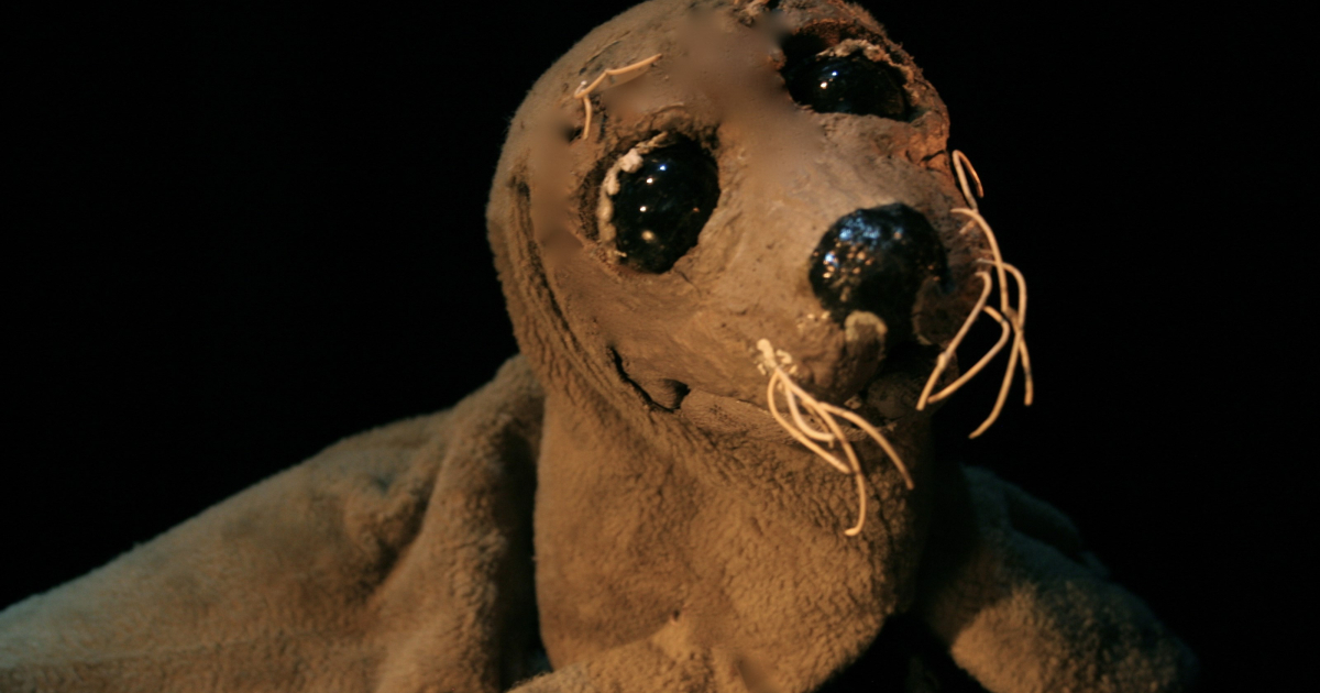 Kooman's Poppentheater - Swaffie de Zeehond (5+)