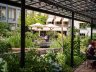 Het groene verborgen terras vol planten van café Soof in de tuin van het Nutshuis