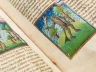 Huis van het Boek