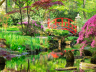 Japanse Tuin in Den Haag 