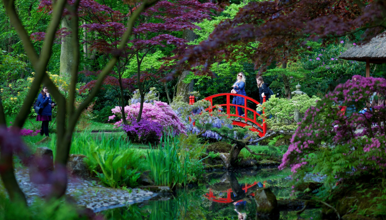 Japanse Tuin