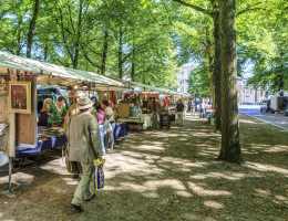 De Antiek- en boekenmarkt op het Lange Voorhout in Den Haag De Antiek- en boekenmarkt op het Lange Voorhout in Den Haag