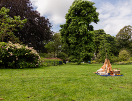 Picknick op grasveld met dekens, kussens en eten in een groen park met hoge bomen en bloeiende struiken Picknick op grasveld met dekens, kussens en eten in een groen park met hoge bomen en bloeiende struiken