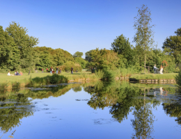 Menschen genießen einen sonnigen Tag in einem Park mit Wasserreflexion.