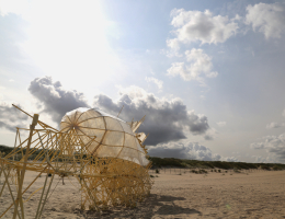 Strandbeest op het strand die zelfstandig in beweging komt door de wind