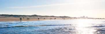 Het stille Zuiderstrand vanaf de zee gezien. Mensen wandelen langs de vloedlijn. 