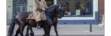 Twee mannen te paard tijdens de Geloofsbrievenceremonie op het Noordeinde in Den Haag