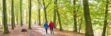 Haagse Bos Haagse Bos