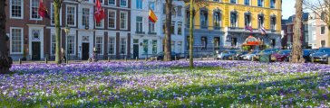 Lange Voorhout Lange Voorhout